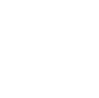 1Bit AI